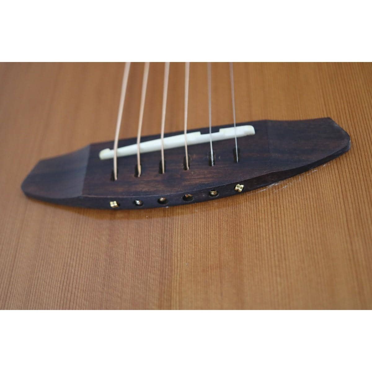 ＢＲＥＥＤＬＯＶＥ　ＰＵＲＳＵＩＴ　Ｃ３１ＣＥ