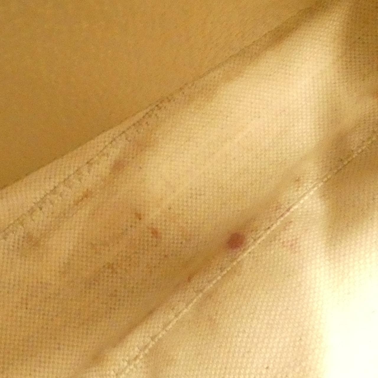 グッチ オフィディア 735132 UULAG ショルダーバッグ