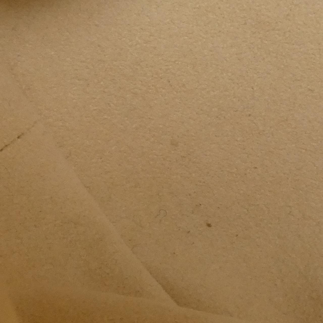 ルイヴィトン モノグラム アンプラント ネヴァーフル MM M46676 バッグ