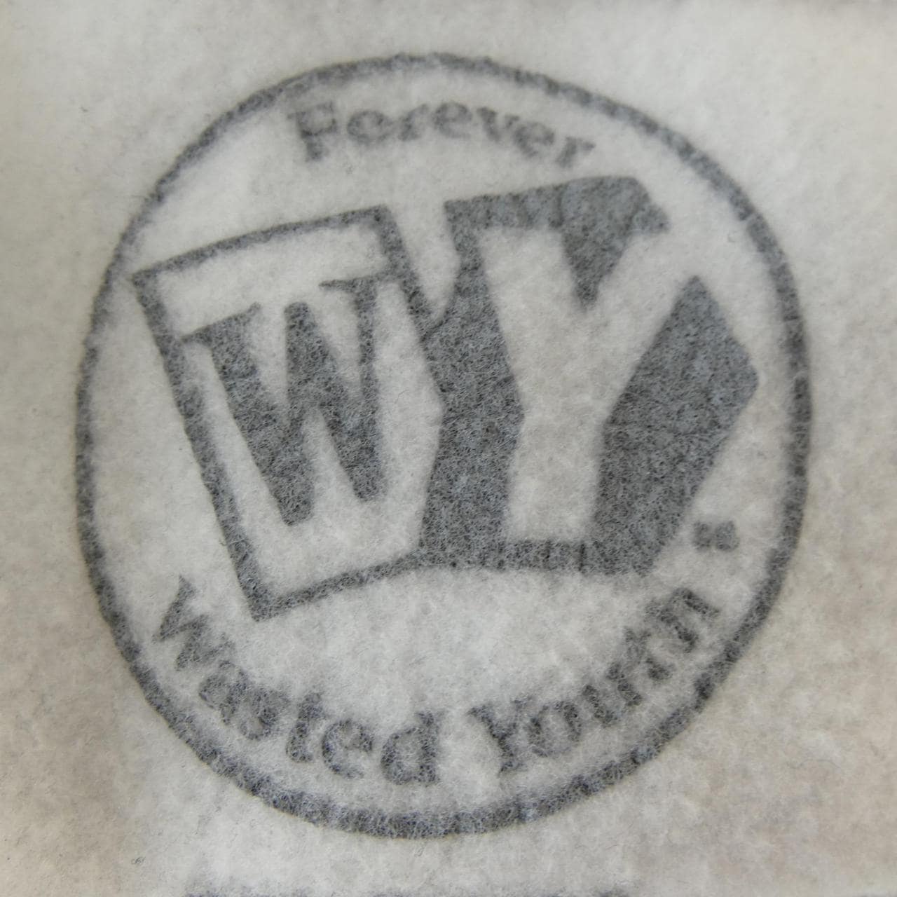 ウェイステッドユース Wasted Youth スウェット