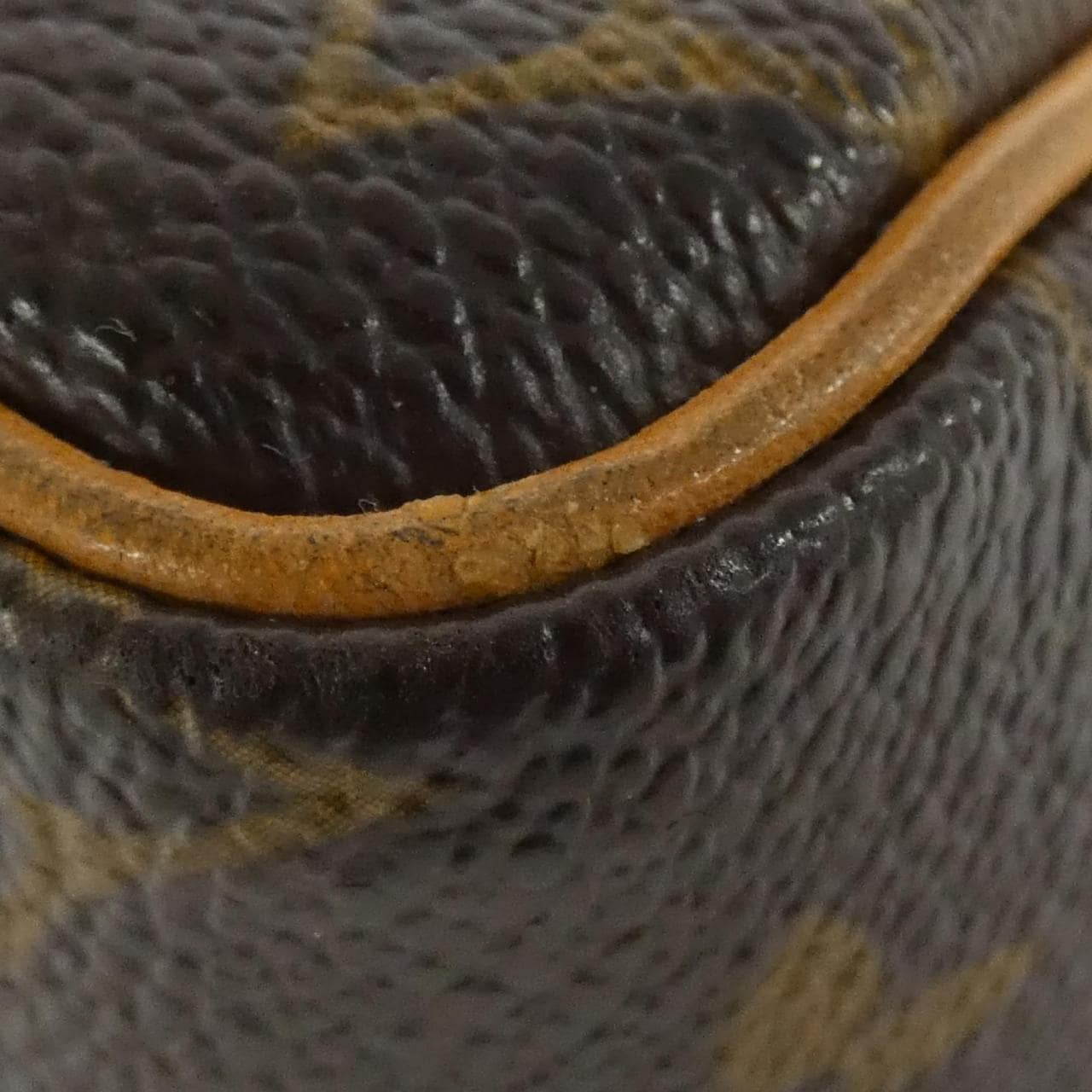 LOUIS VUITTON Monogram Viva Cité PM M51165 Shoulder Bag