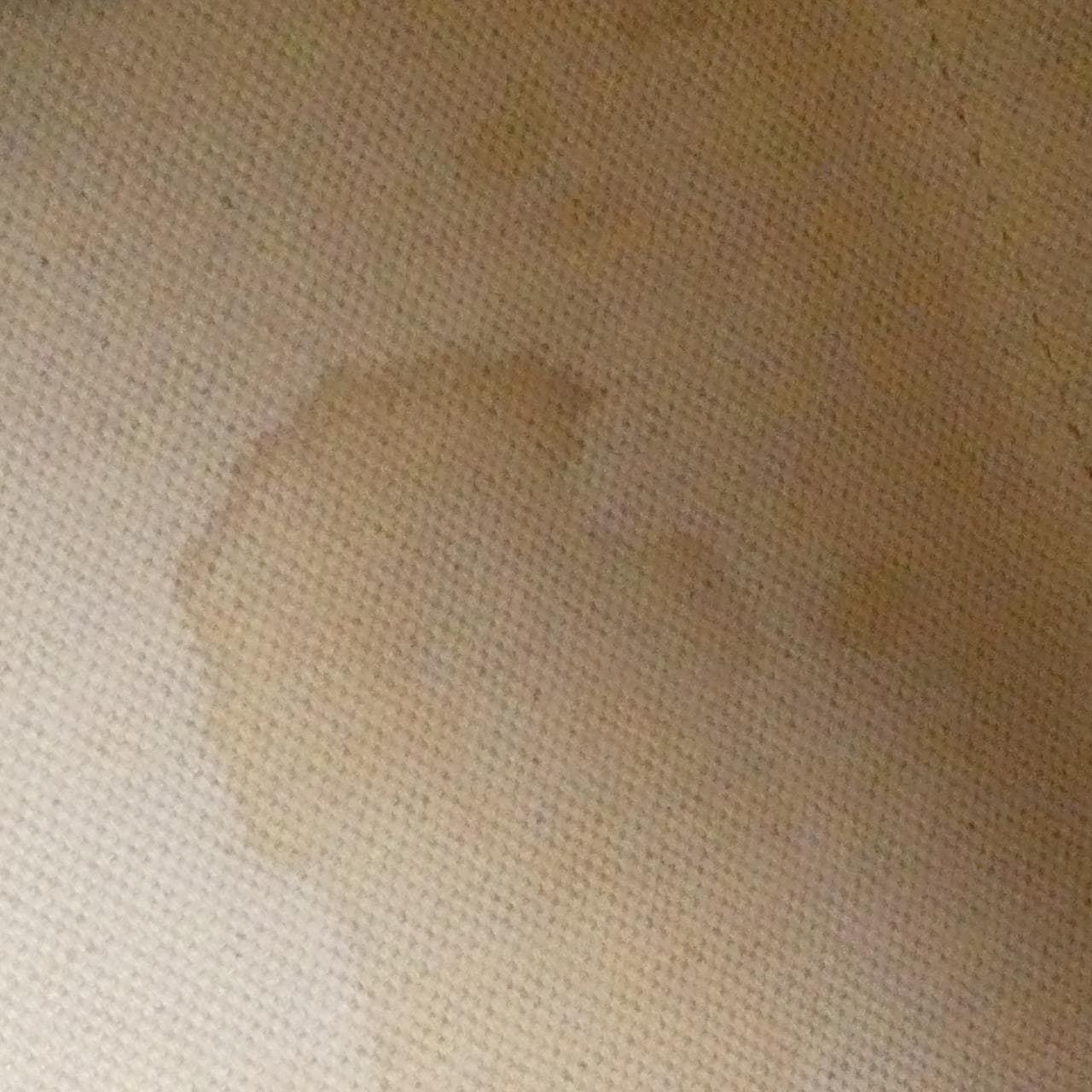 ゴヤール アルトワ PM AMA ARTOIS PM バッグ