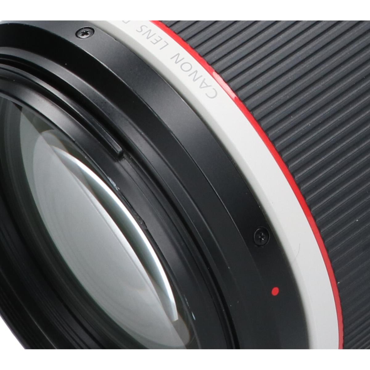 CANON RF100-500mm F4.5-7.1L IS USM