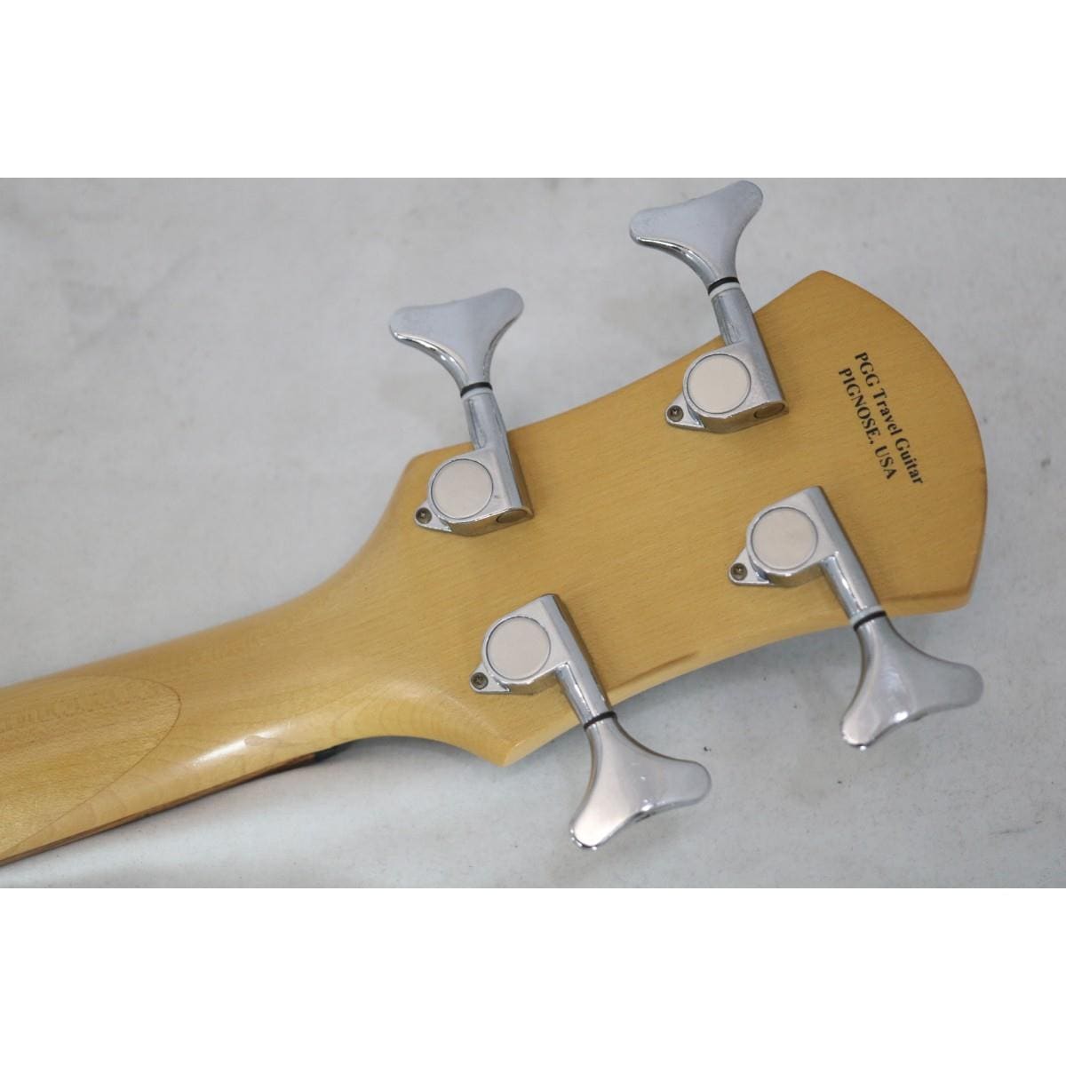 ＰＩＧＮＯＳＥ ＰＧＢ－２００