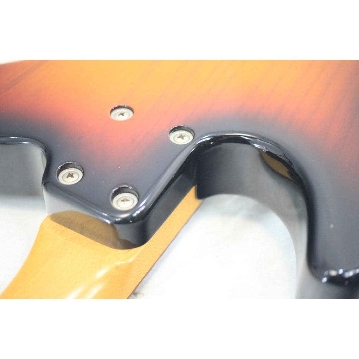 ＢＡＣＣＨＵＳ　　Ｔ－ＭＡＳＴＥＲ