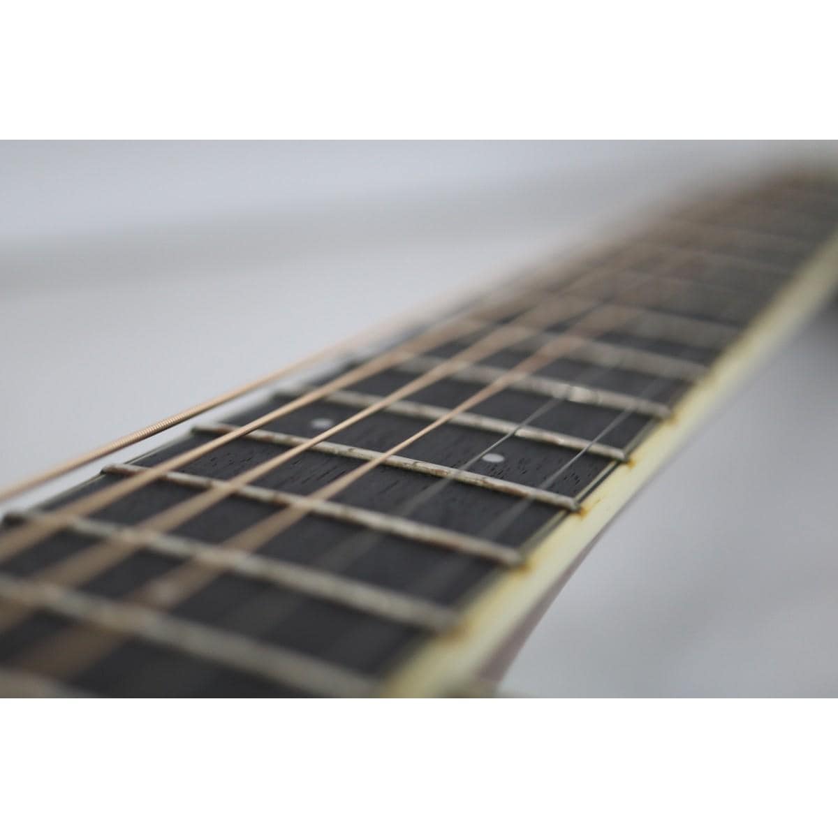 ＦＥＮＤＥＲ　　ＰＭ－１　ＤＲＥＡＤ　ＡＬＬ－ＭＡＨＯ