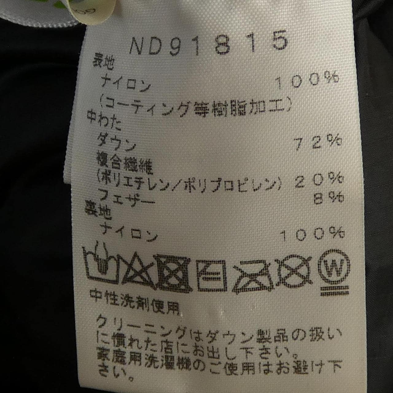 The North Face ND91815 Down Jacket