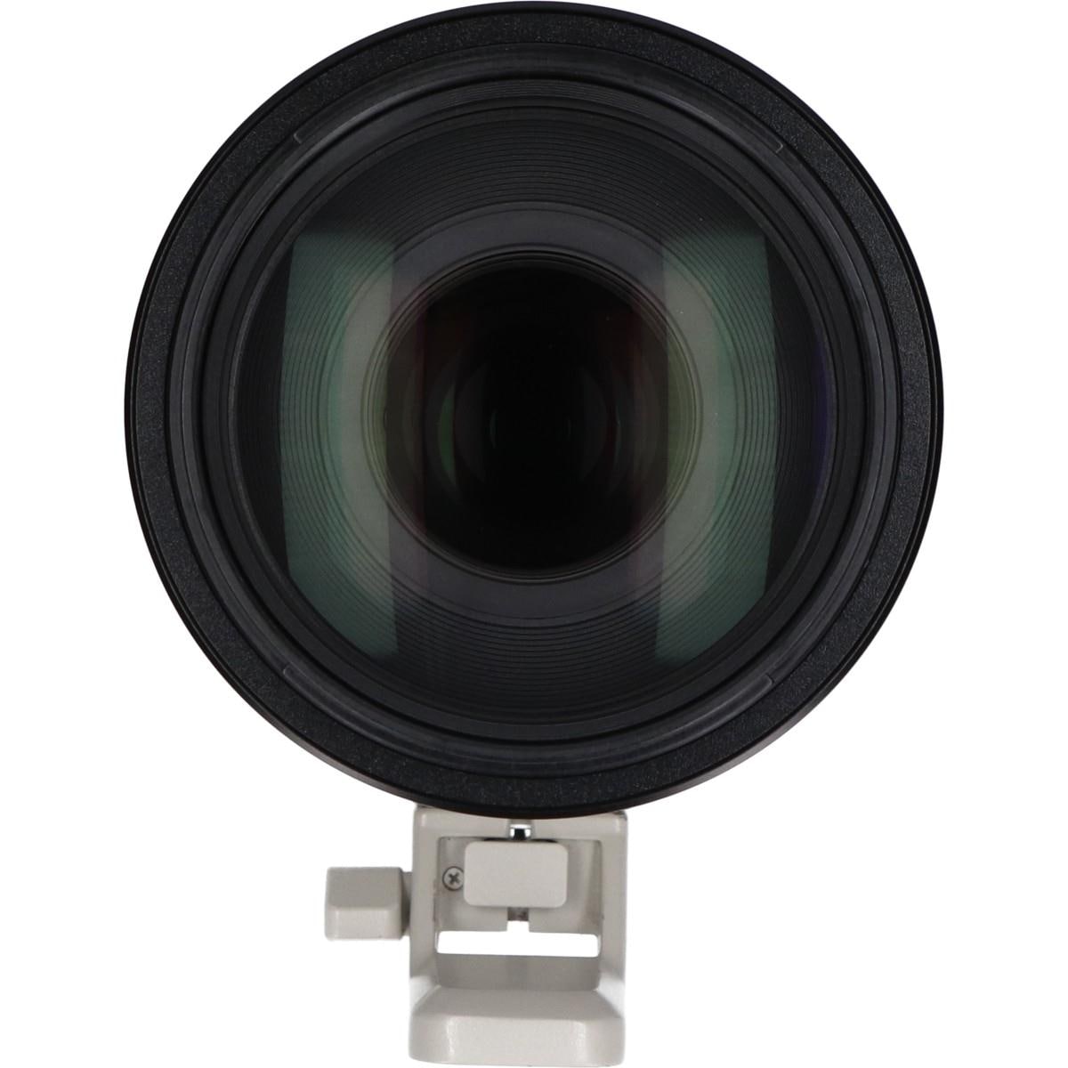 ＦＥ１００－４００ｍｍ　Ｆ４．５－５．６ＧＭ　ＯＳＳ（ＳＥＬ１００４００ＧＭ）