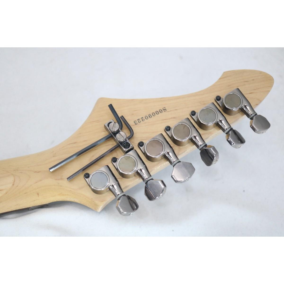 ＡＲＩＡ　ＰＲＯ　ＩＩ　　ＺＺ－１