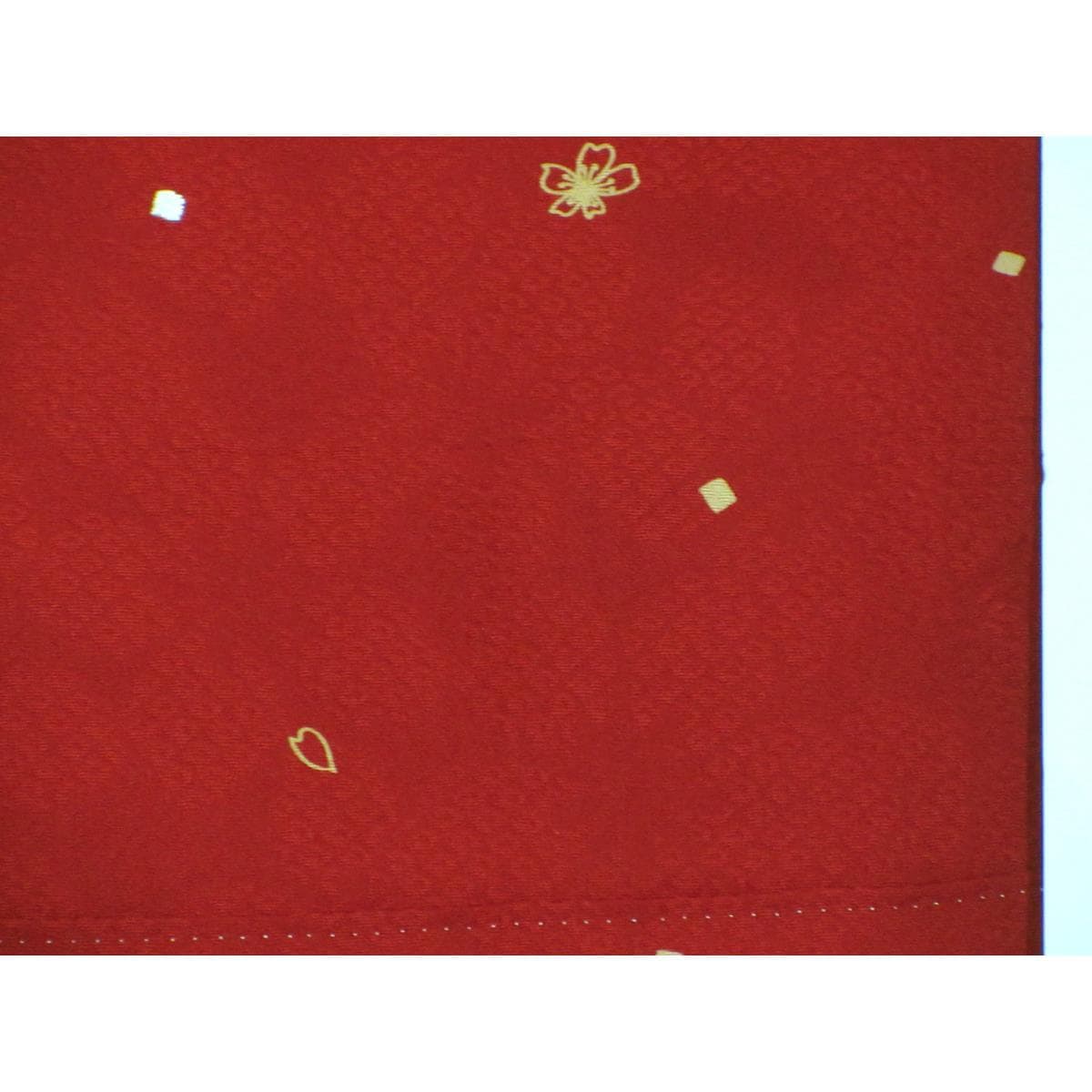 振袖　刺繍加工ボカシ染　きもの長襦袢　２点セット