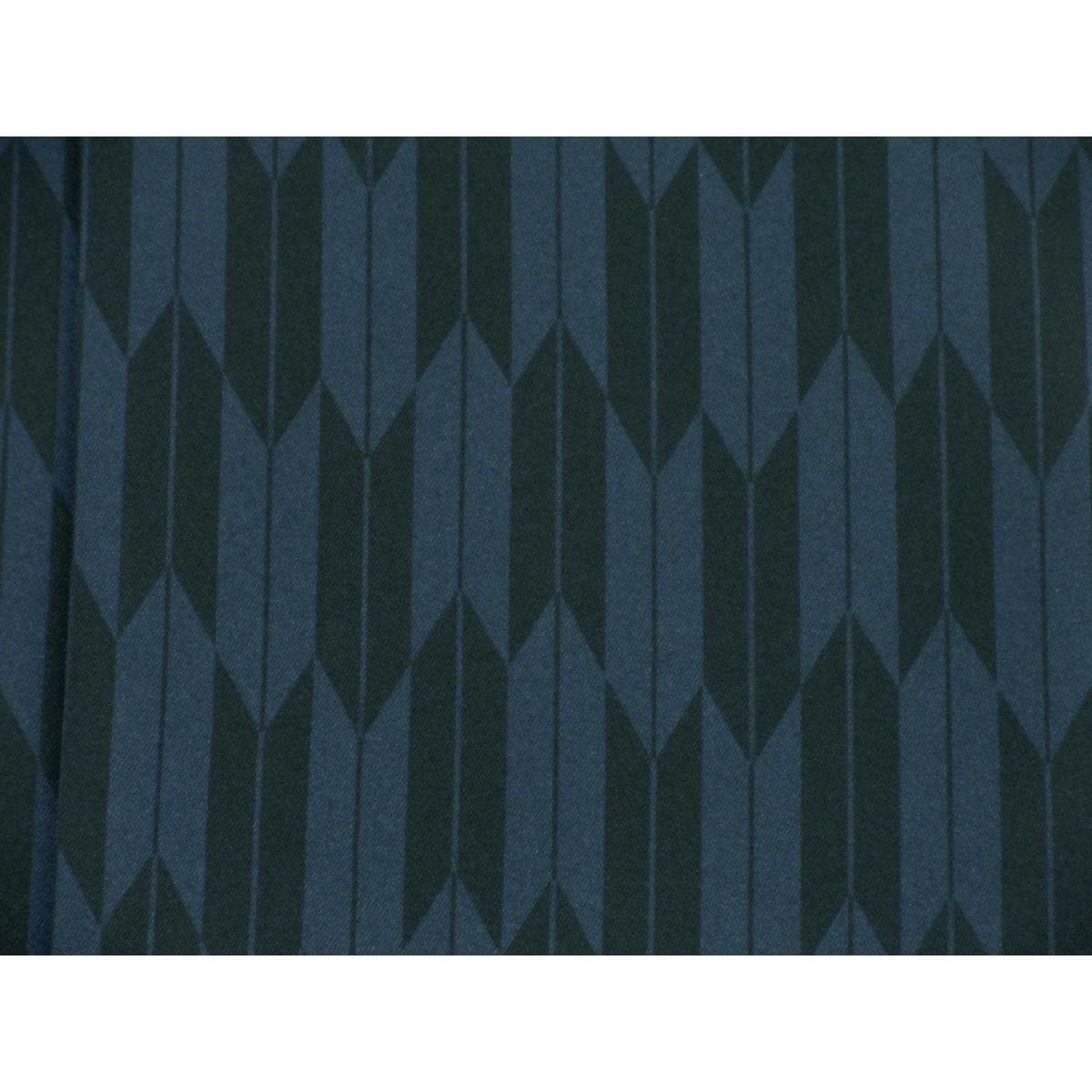 女袴　ｅａｒｔｈ　紐下９１ｃｍ　Ｍサイズ