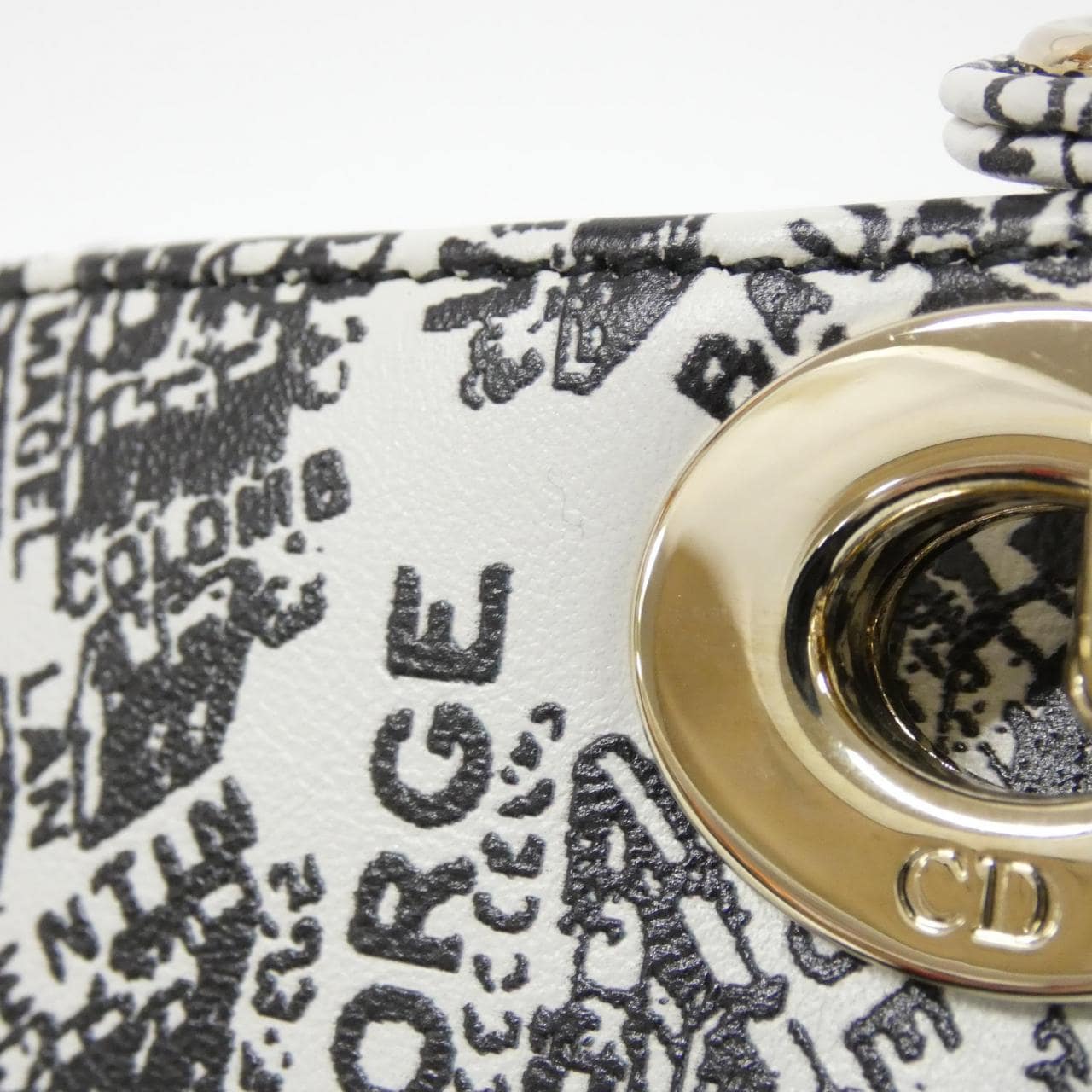 クリスチャンディオール PLAN DE PARIS レディ Dジョイ ミディアム バッグ