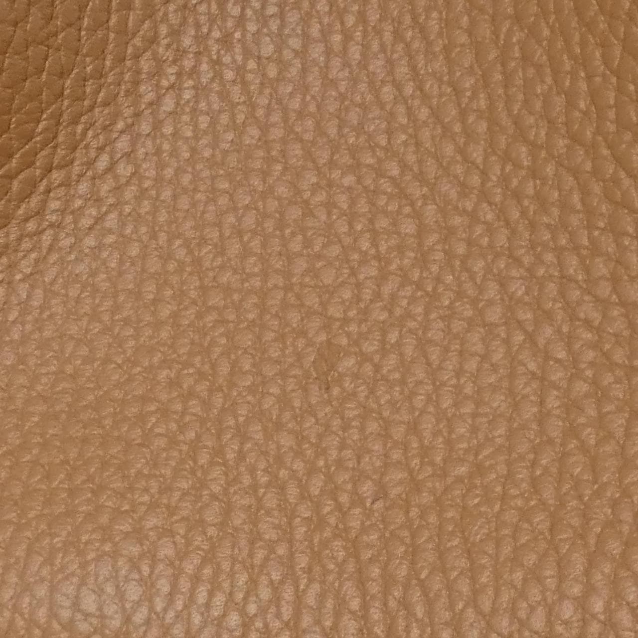 Todds T TIMELESS XBWAPAEL000QRI9P13包