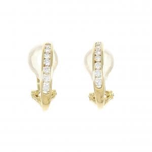 Diamond earrings/earrings