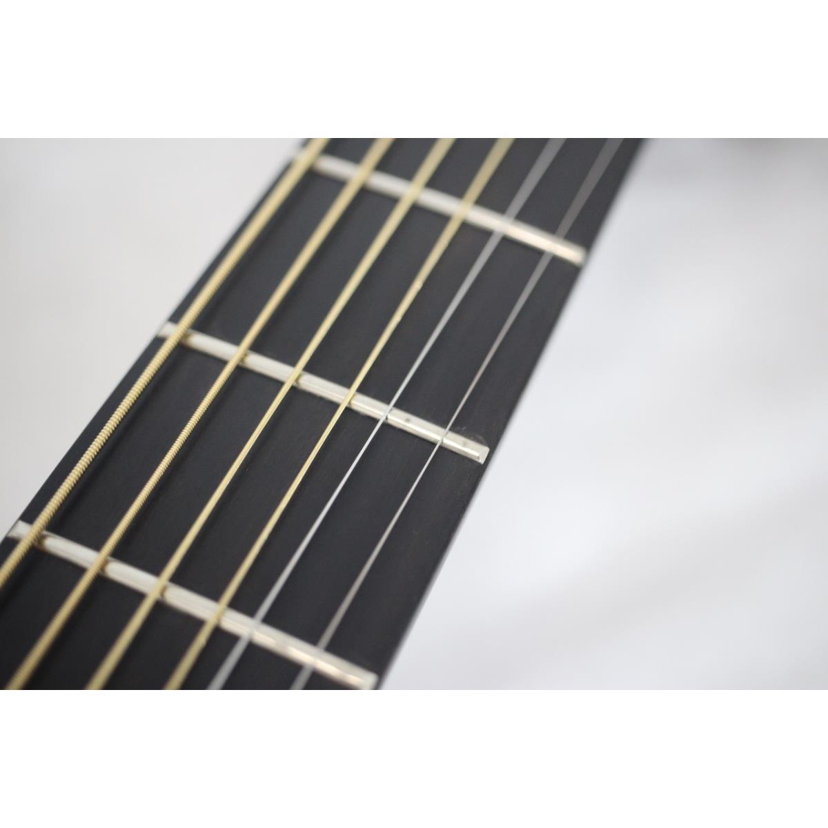 TAKAMINE LTD 2001 DOLPHIN