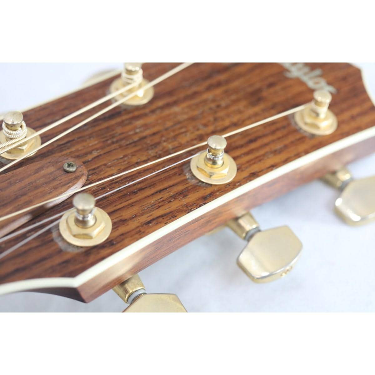 ＴＡＹＬＯＲ　　ＣＵＳＴＯＭ　ＤＮ