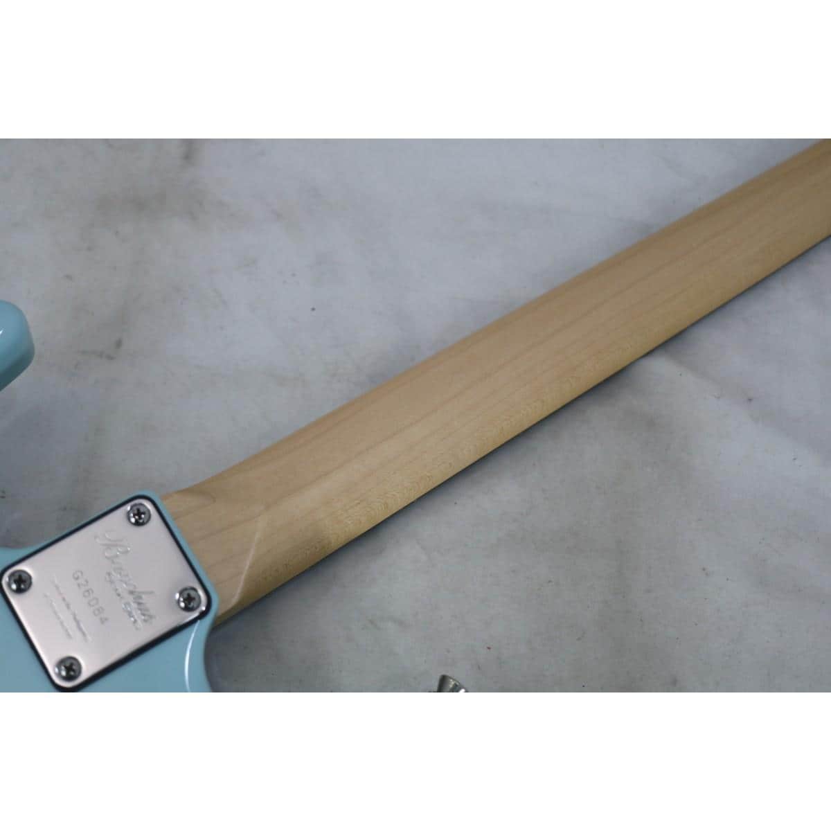 ＢＡＣＣＨＵＳ　　ＨＳＴ－２４ＨＳＨ／ＦＲＴ