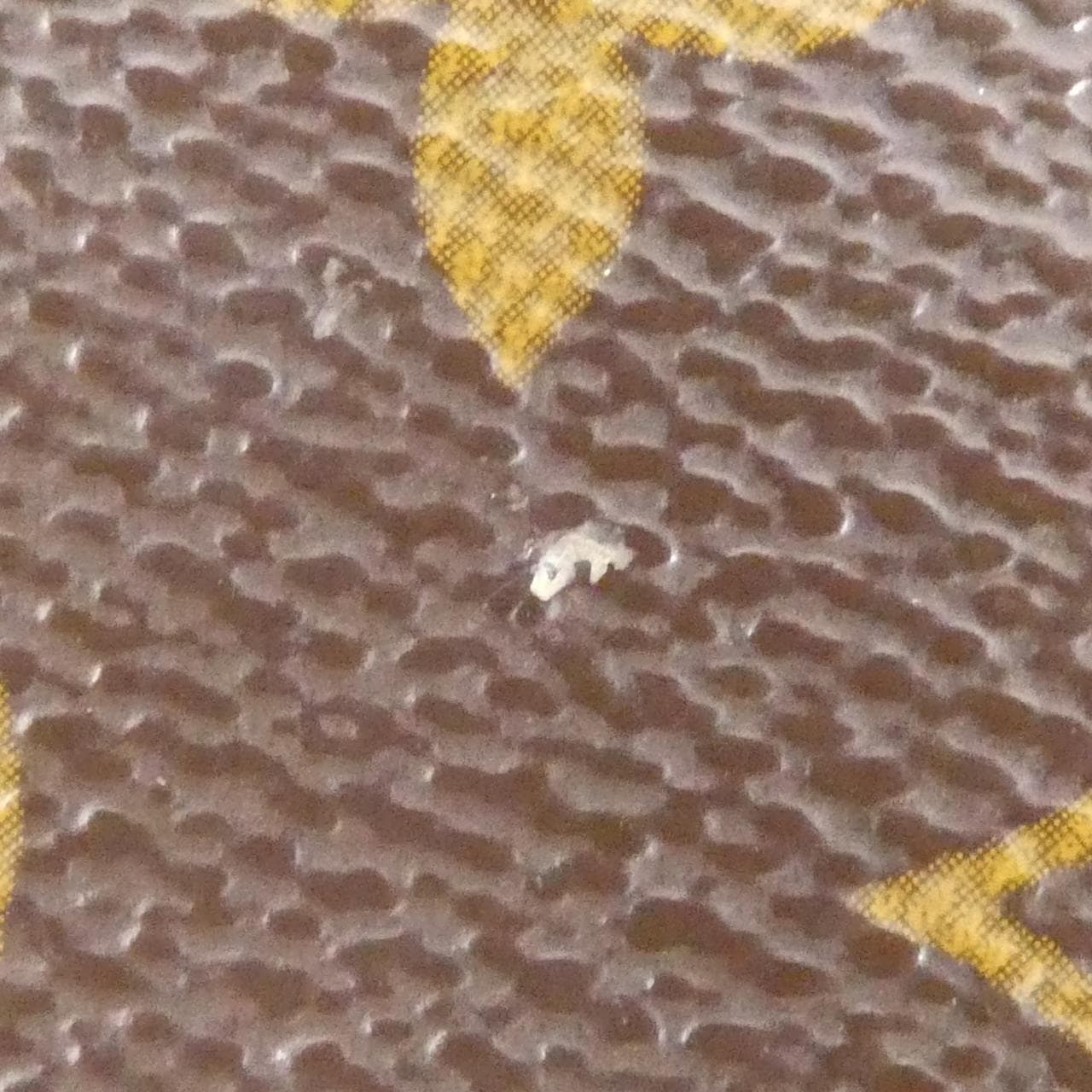 ルイヴィトン モノグラム ヴァヴァン PM M51172 バッグ