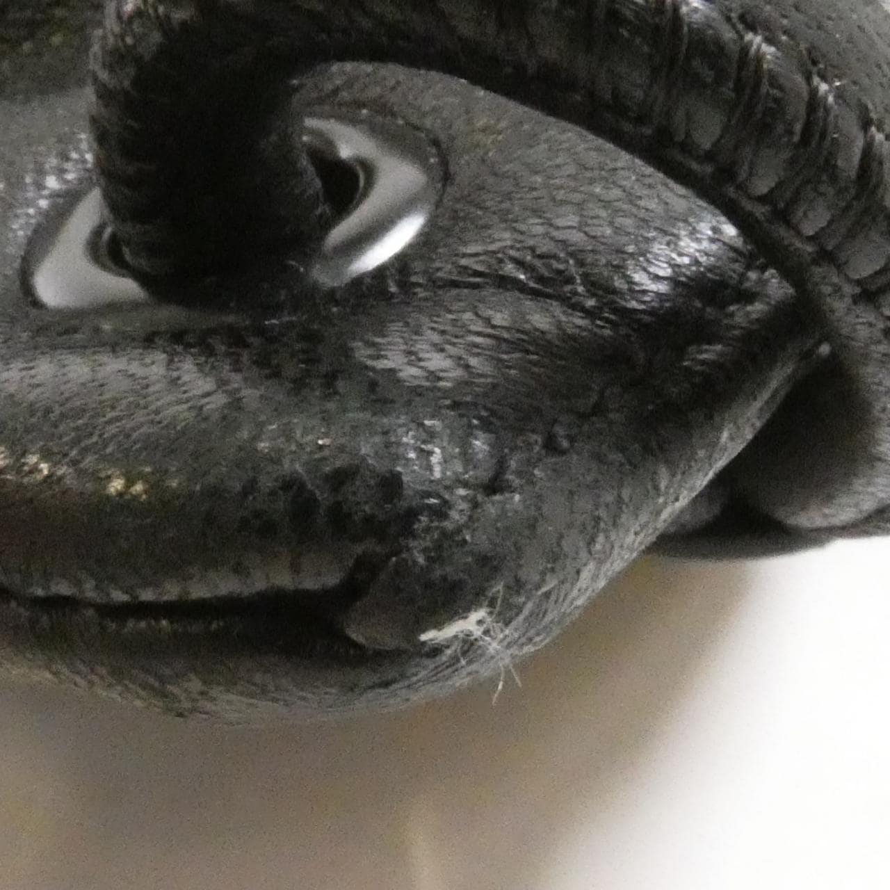 サンローラン バックパック テディ 553919 0YP0E リュックサック