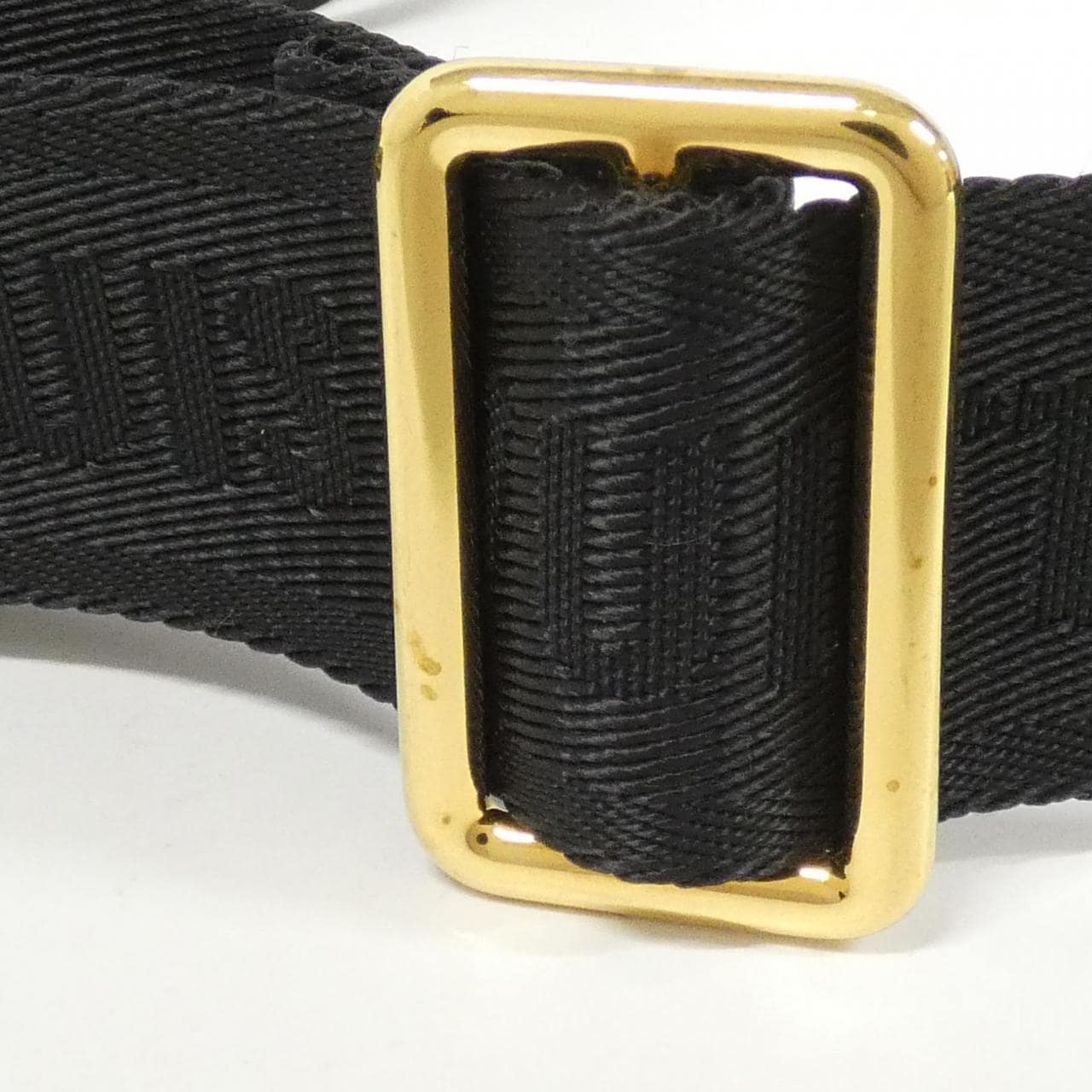 ルイヴィトン バイカラー モングラム アンプラント パピヨンBB M45980 ショルダーバッグ