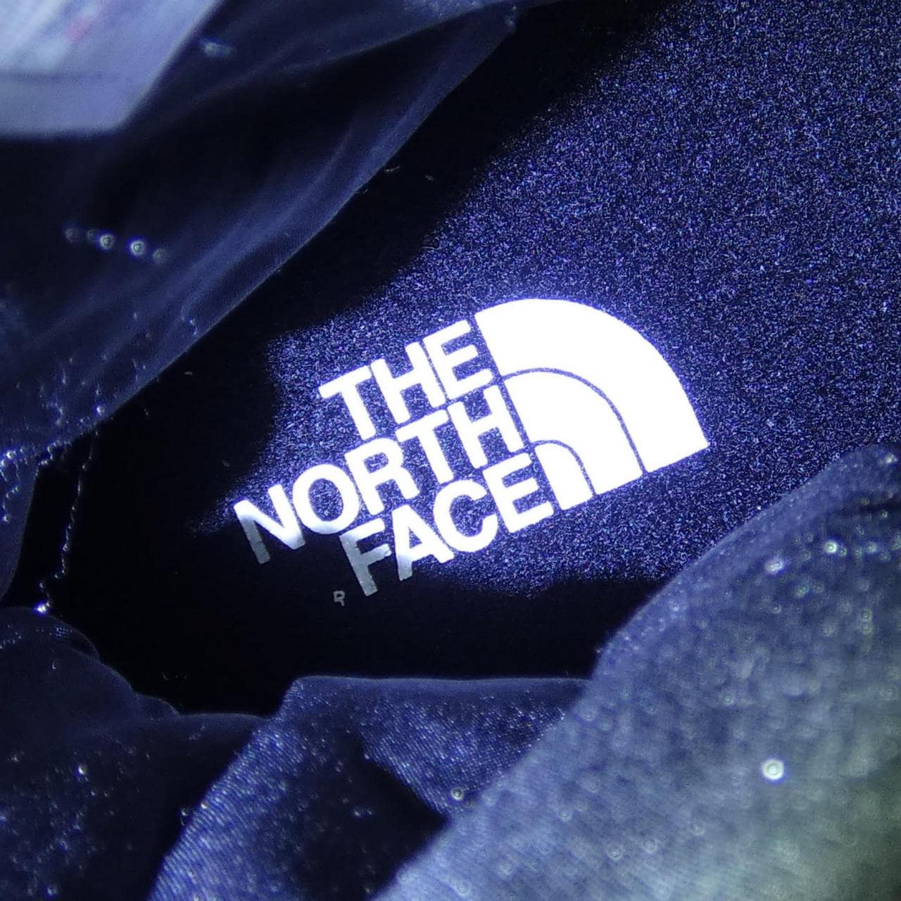 ザノースフェイス THE NORTH FACE NF51979 ブーツ