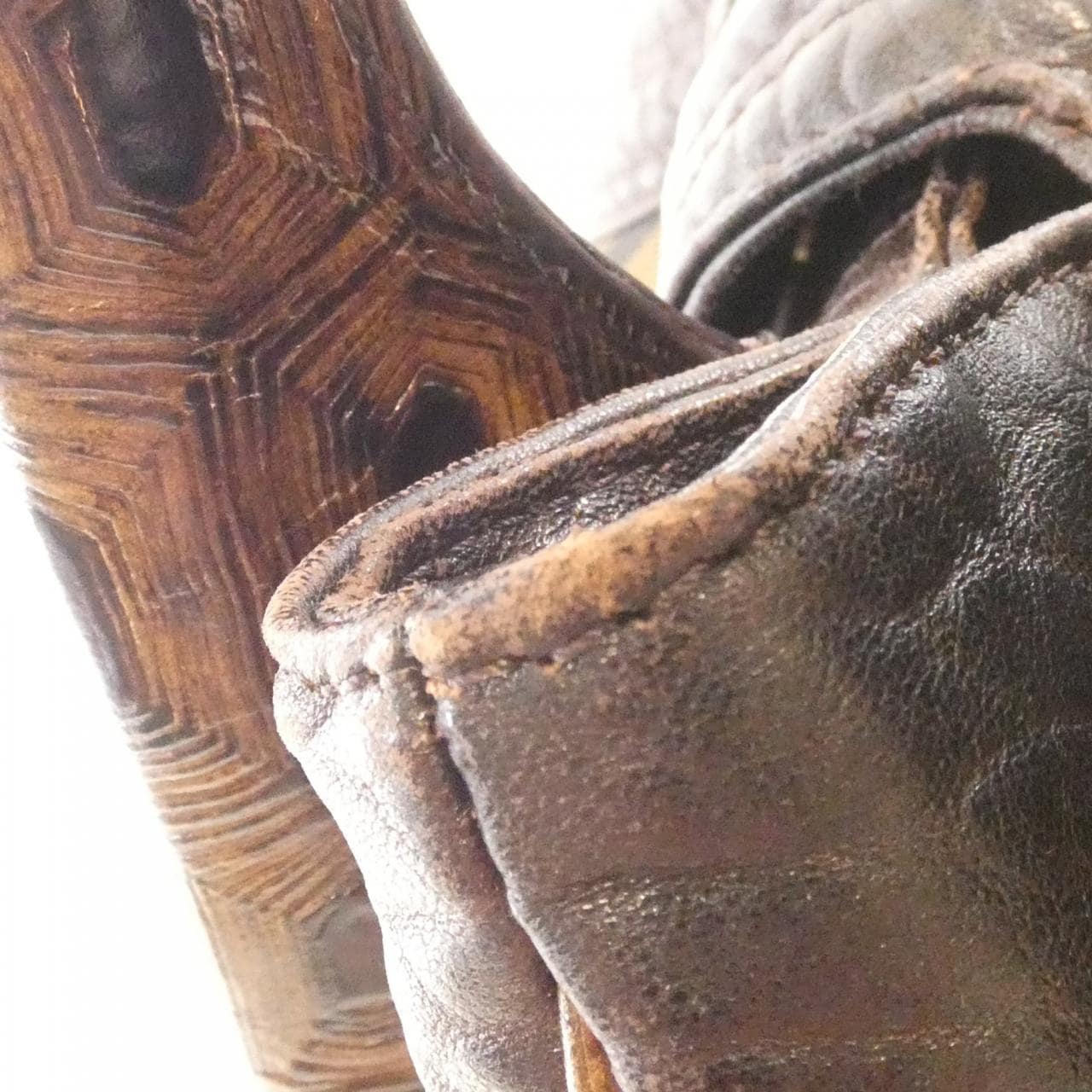 フェンディ 8BR589RPU バッグ