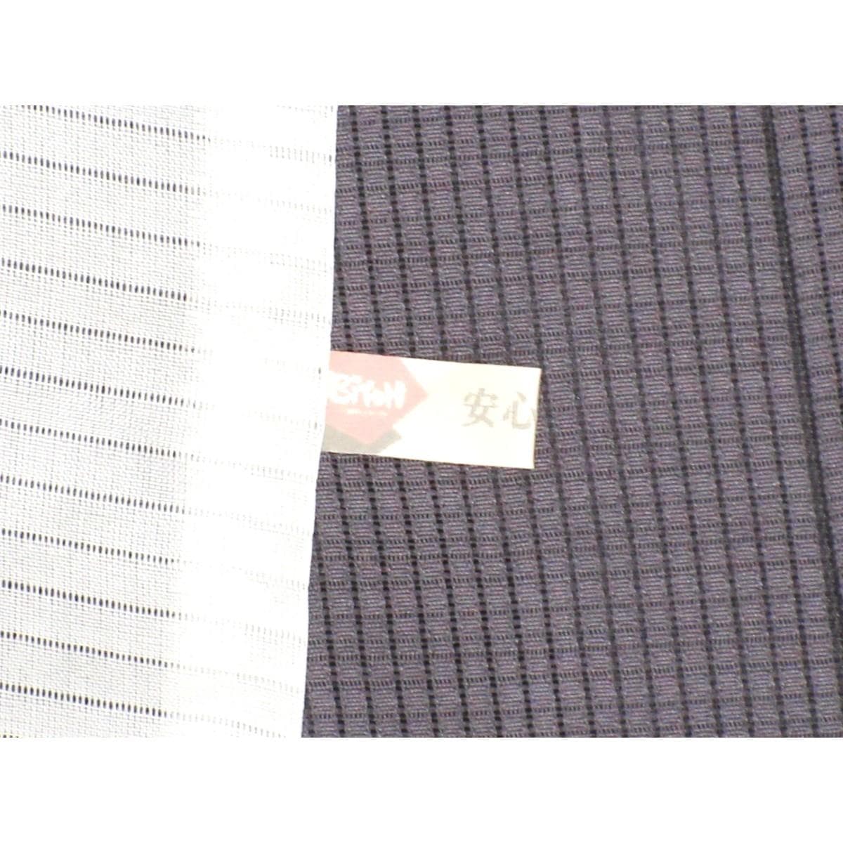 単衣　竪絽訪問着　刺繍加工ボカシ染