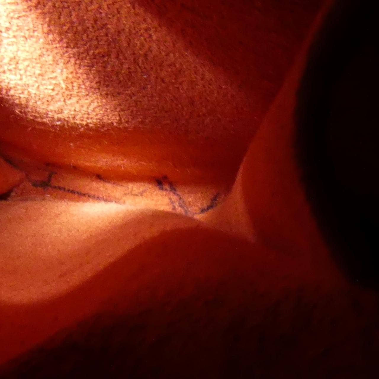 ルイヴィトン ダミエ パリオリ PM N51123 バッグ