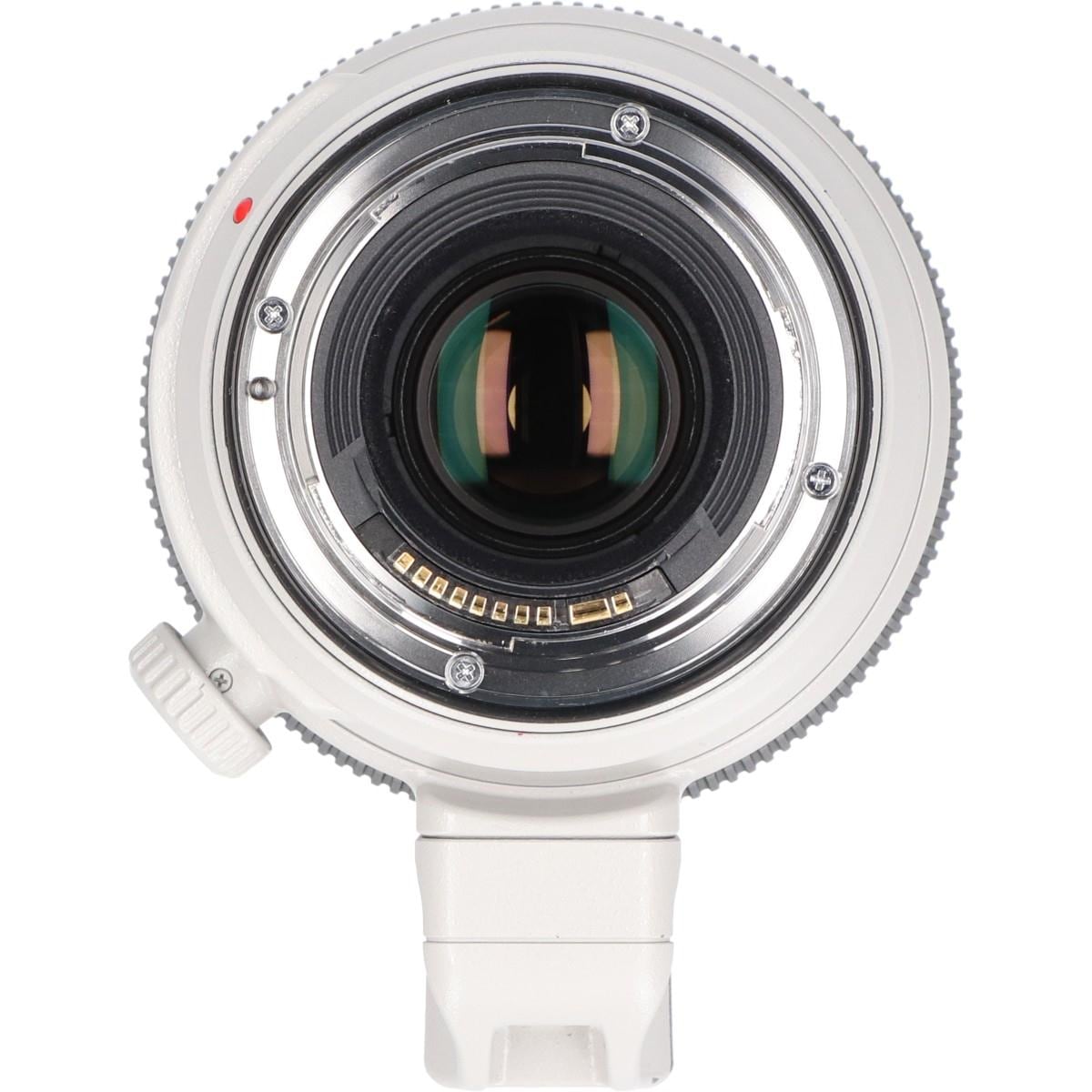ＥＦ１００－４００ｍｍ　Ｆ４．５－５．６Ｌ　ＩＳ　ＩＩ　ＵＳＭ