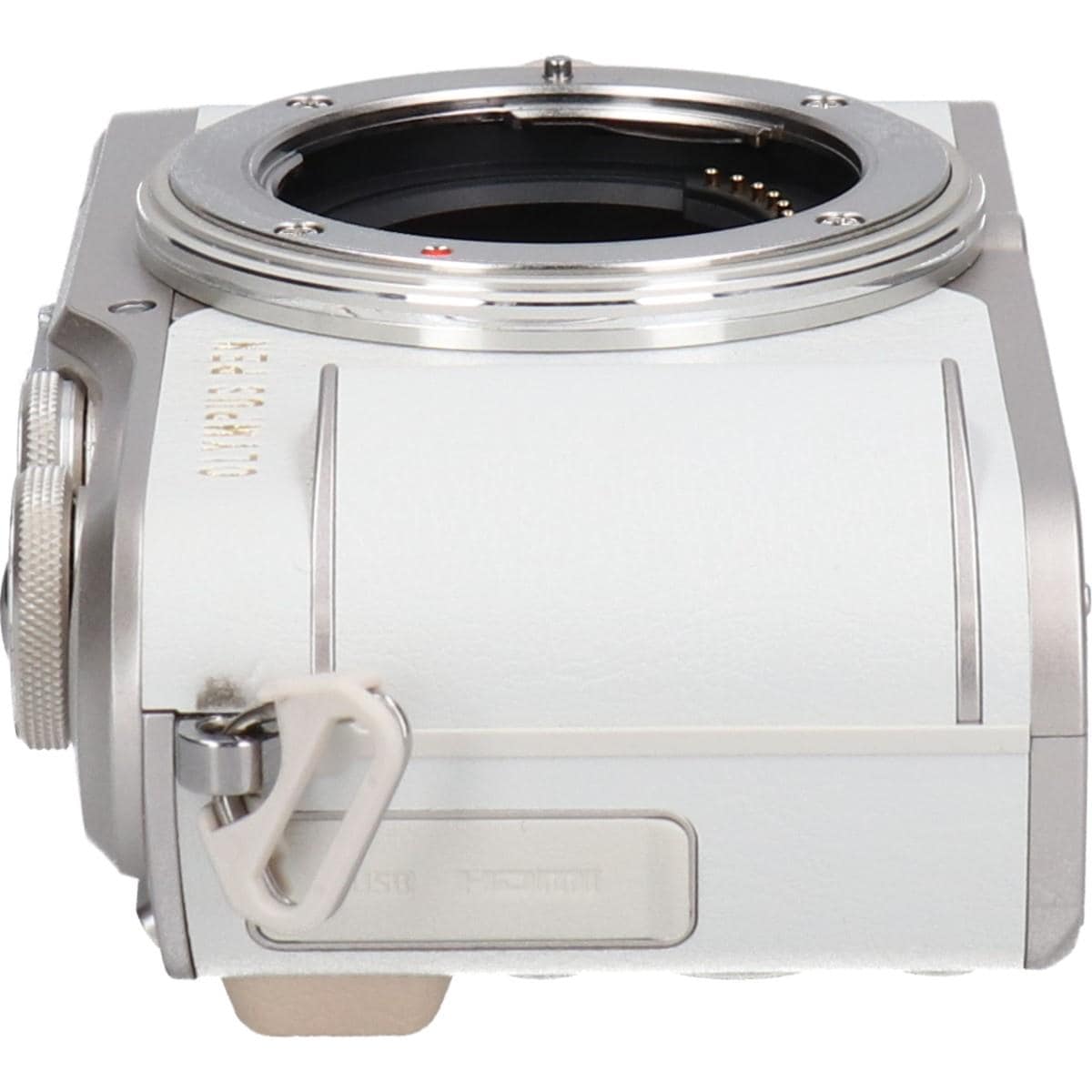 Ｅ－ＰＬ９