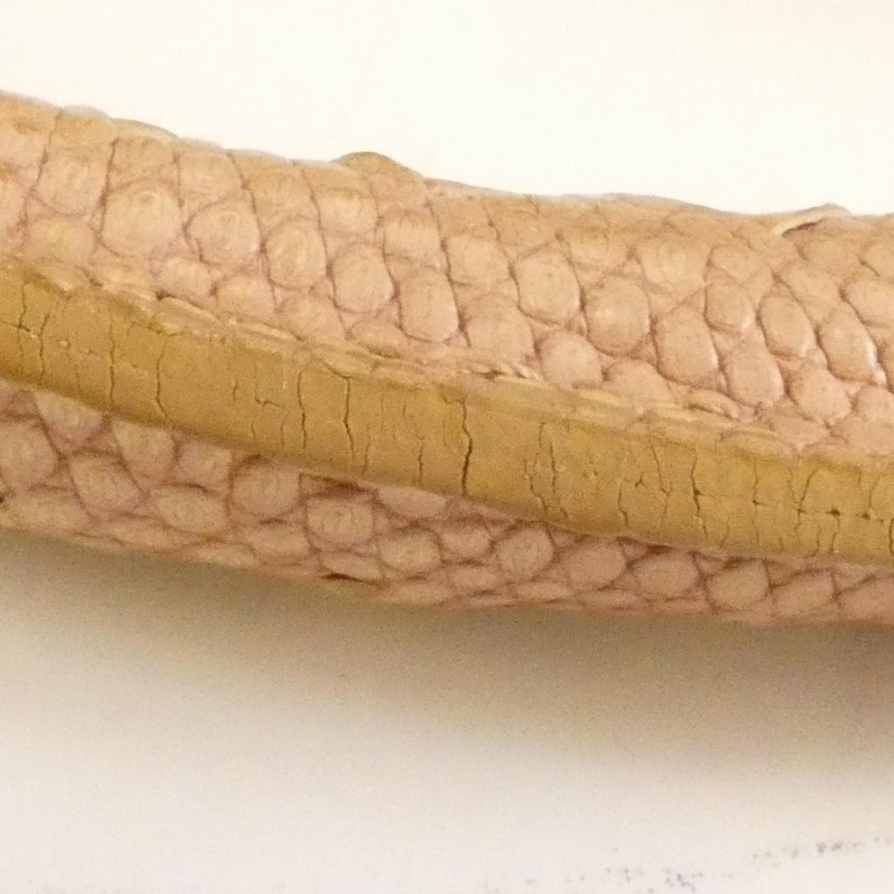 ボッテガヴェネタ 195557 VGBH2 バッグ