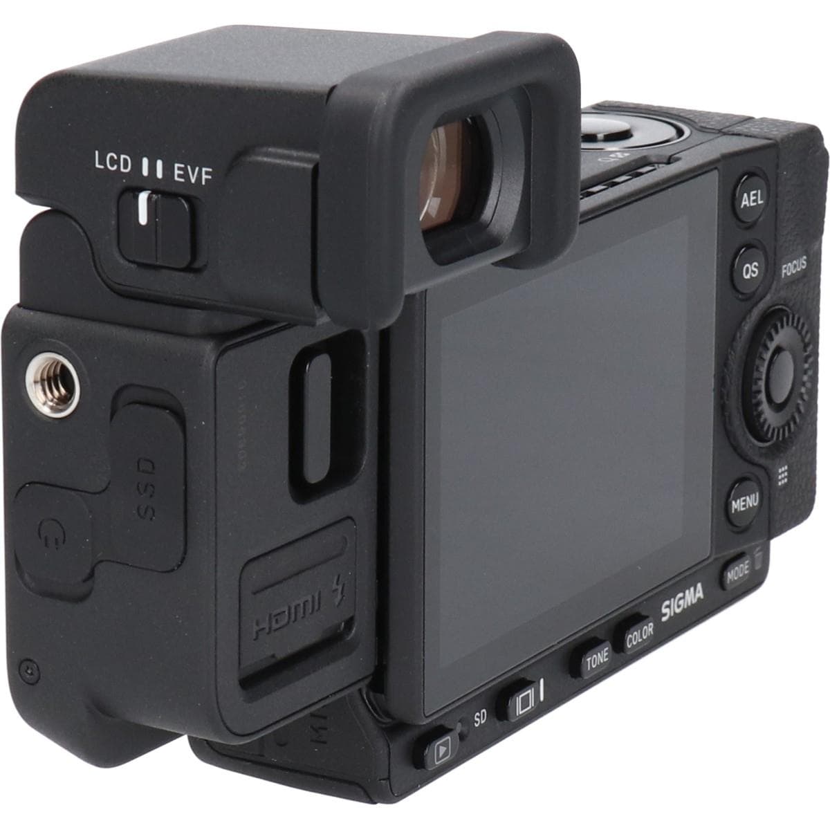 ＳＩＧＭＡ　ｆｐ　Ｌ＋ＥＶＦ－１１