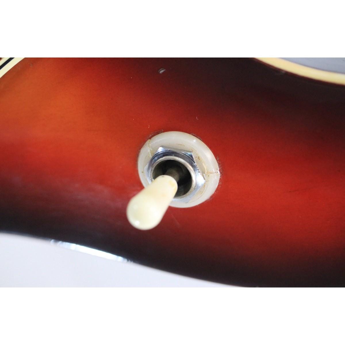 ＧＵＹＡＴＯＮＥ　　ＳＧ－２５Ｔ