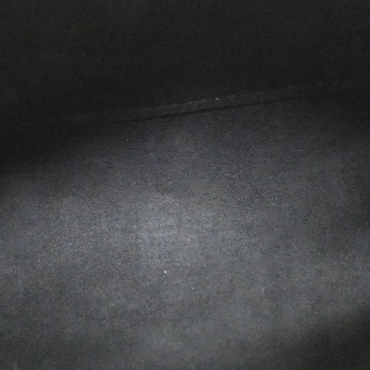 ルイヴィトン バイカラー モノグラム アンプラント パピヨンBB M45980 ショルダーバッグ