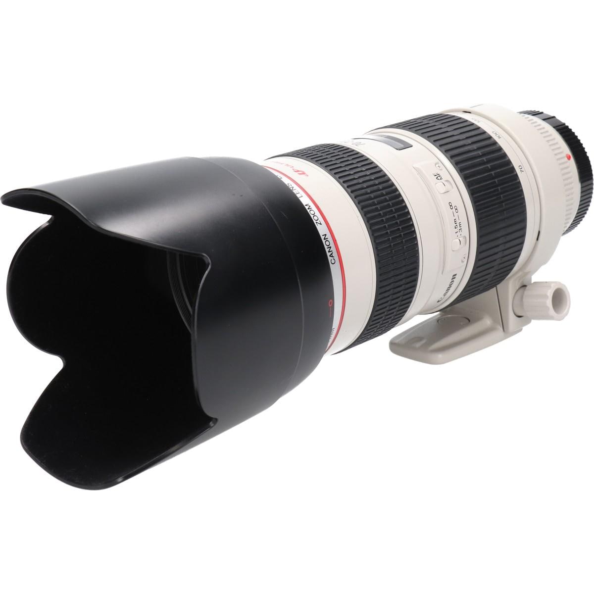 ＥＦ７０－２００ｍｍ　Ｆ２．８Ｌ　ＵＳＭ