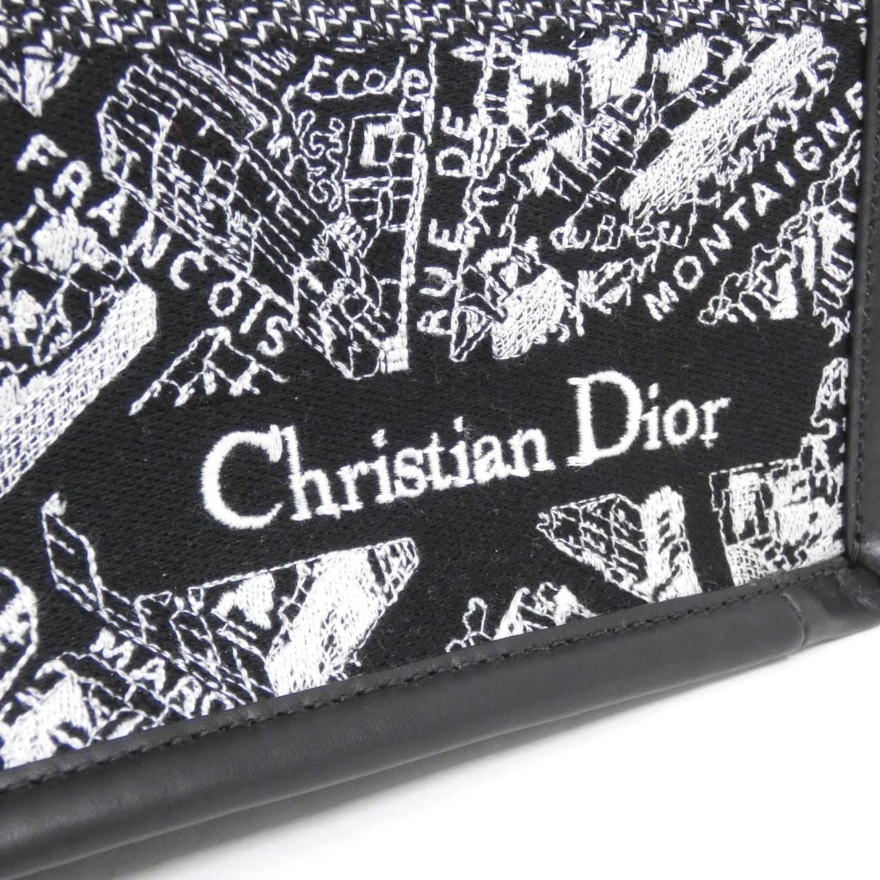 Christian DIOR PLAN DE PARIS DIOR Book Tote 中型 M1324CETJ 套件