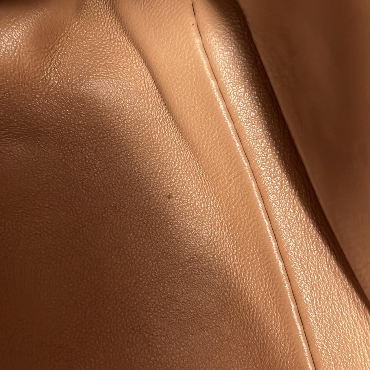 グッチ GUCCI NYMPHAEA 453764 バッグ