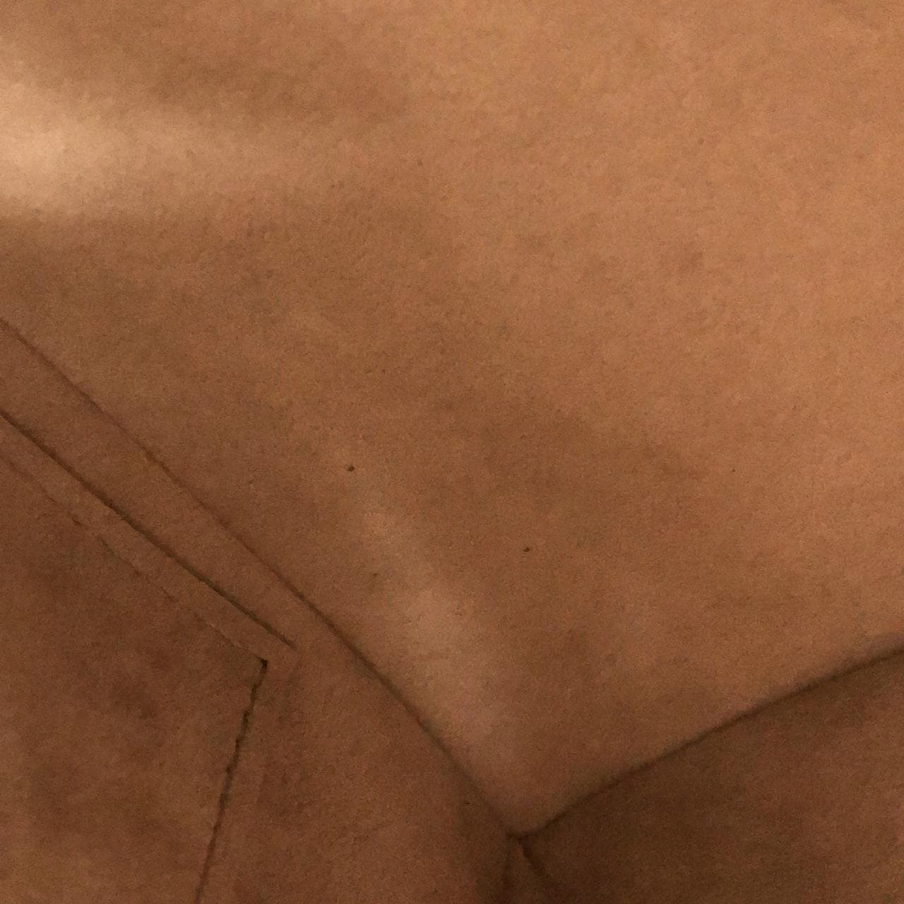 ルイヴィトン バイカラー モノグラム アンプラント スピーディ バンドリエール 20cm M46575 ボストンバッグ