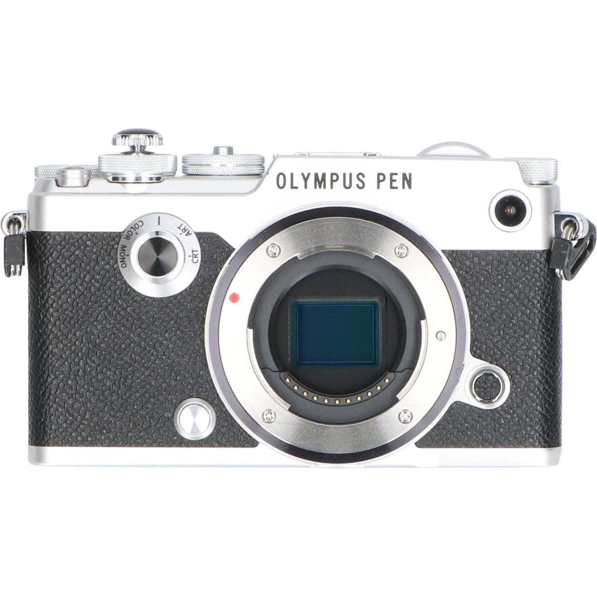 ＰＥＮ－Ｆ　シルバー