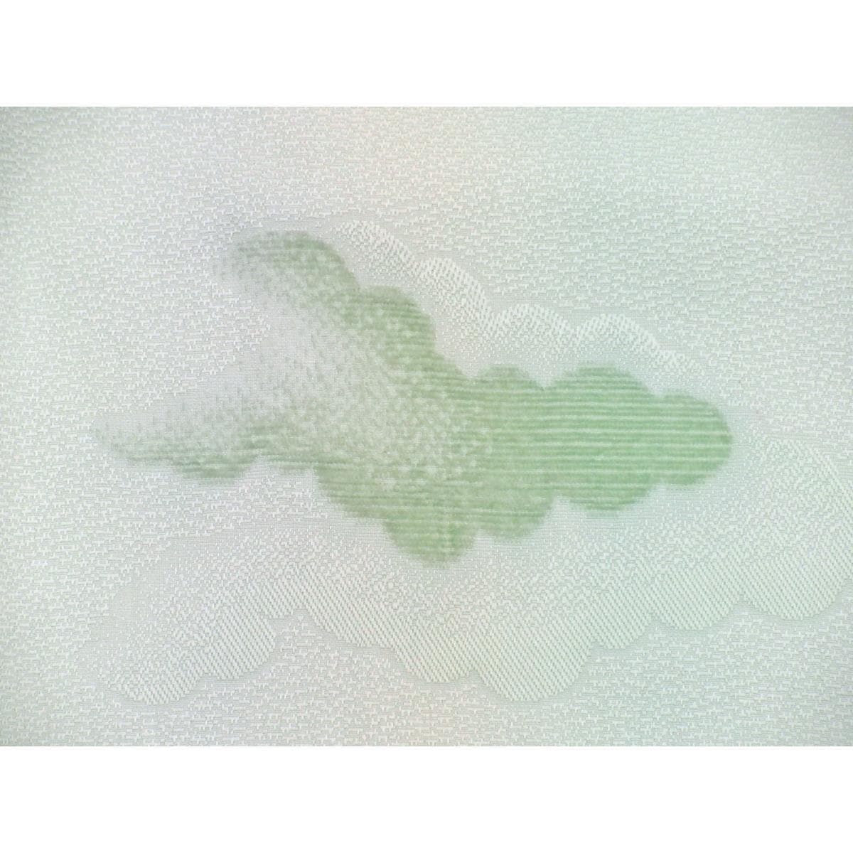 小紋　ビロード入り