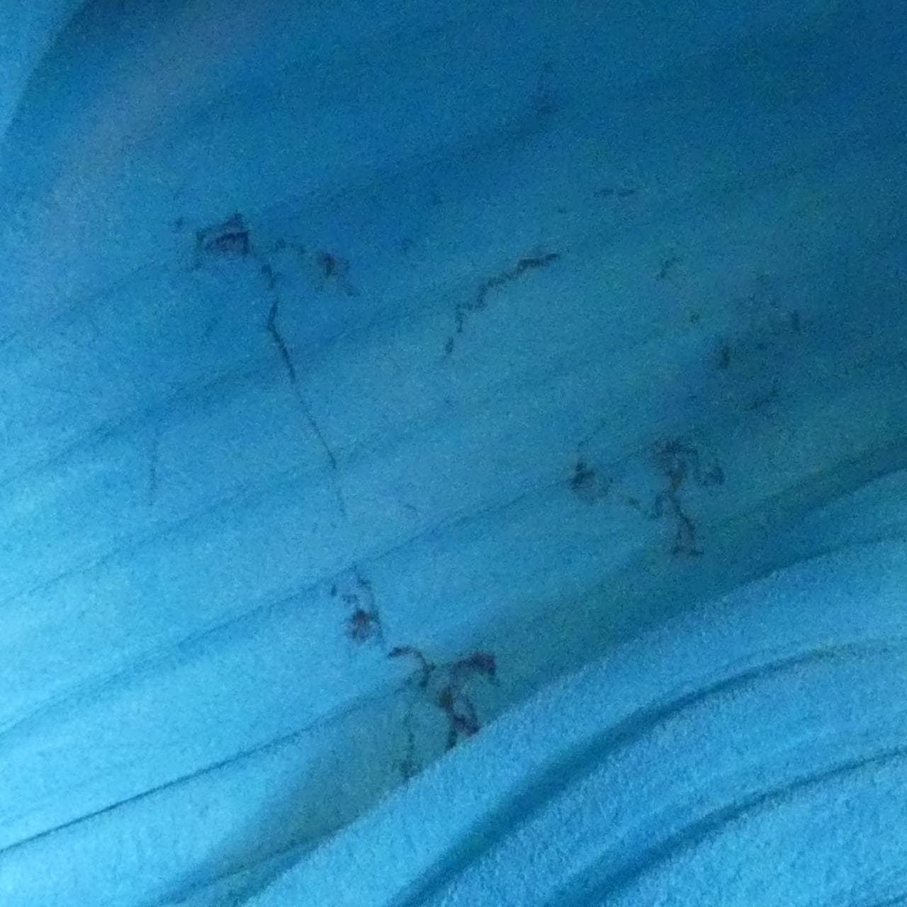 ロエベ ブレスレット ポーチ A912P84X08 ショルダーバッグ