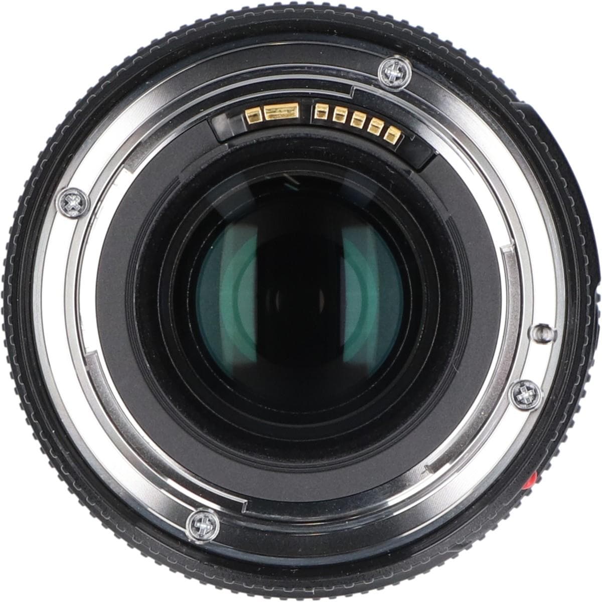 ＥＦ１００ｍｍ　Ｆ２．８Ｌ　ＭＡＣＲＯ　ＩＳ　ＵＳＭ