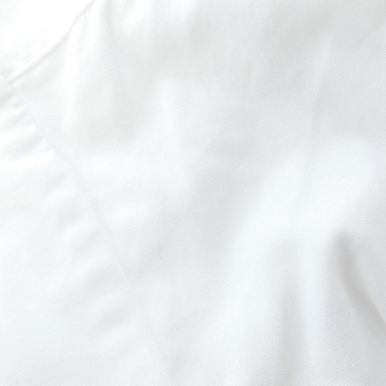 CECILIE BAHNSEN班森 海賊王