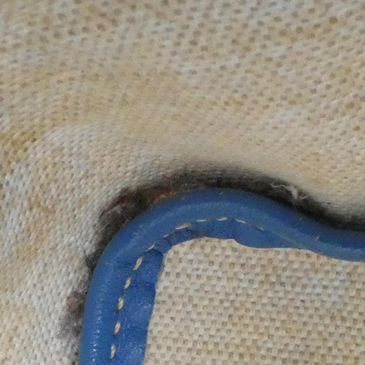 ゴヤール サン ルイ PM AMA LOUIS PM バッグ