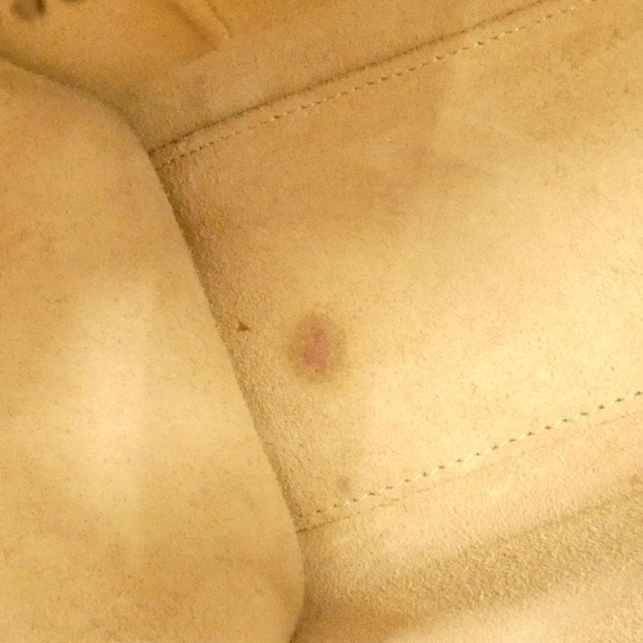 セリーヌ ラゲージ ナノ ショッパー 189243DRU バッグ