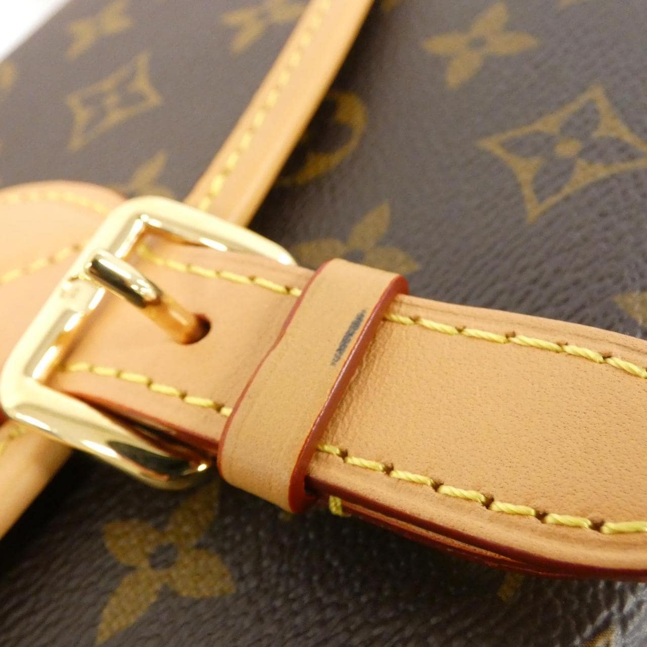 LOUIS VUITTON Monogram Diane PM M46049 单肩包