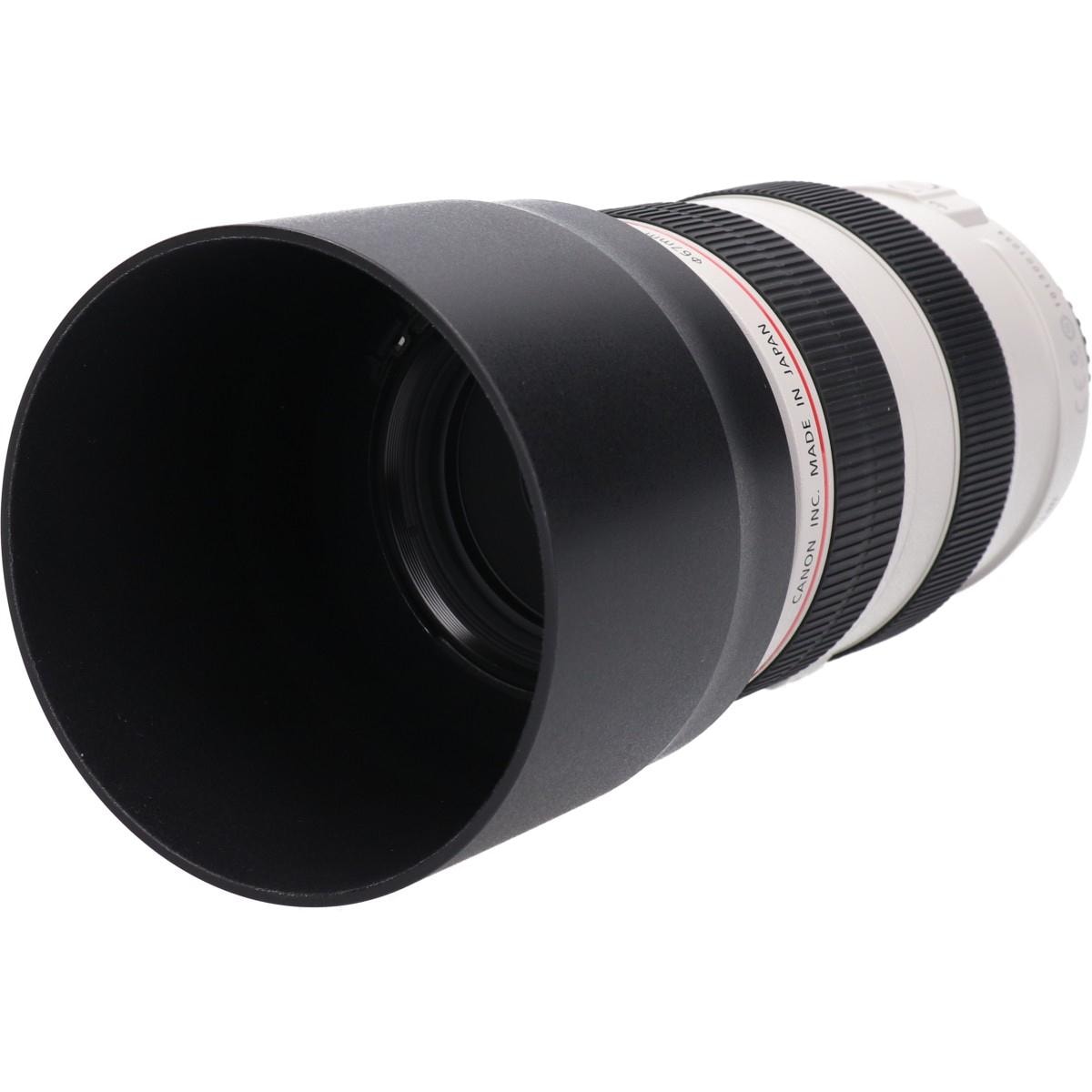 EF70-300mm F4-5.6L IS USM