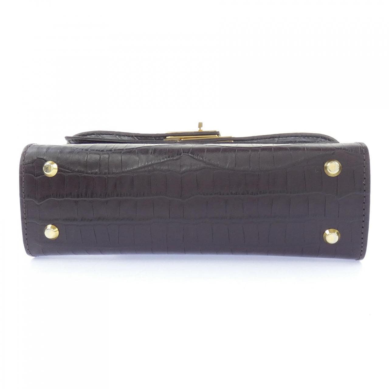 シータパランティカ sita parantica BAG