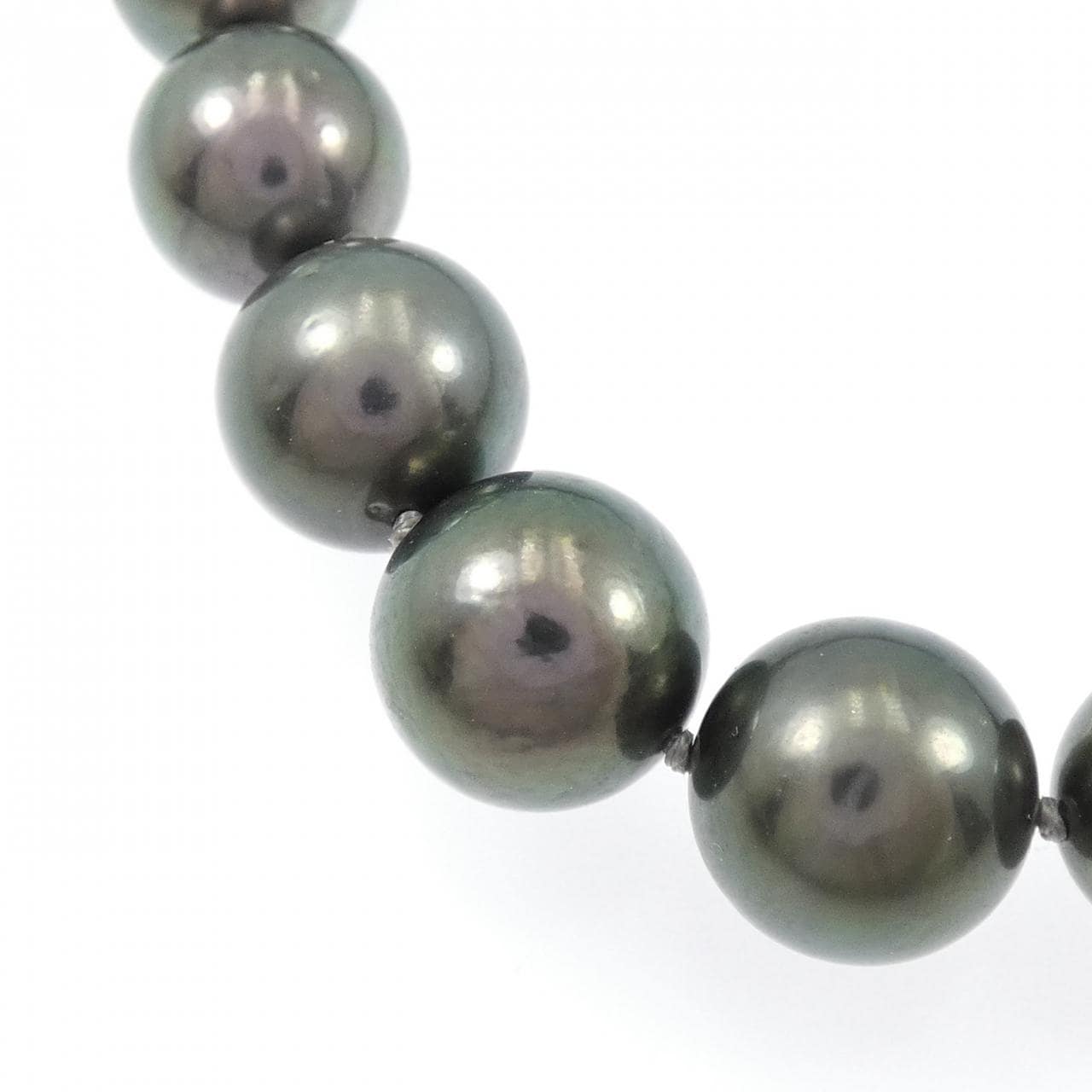 タサキ 黒蝶パール ネックレス 9-11.5mm