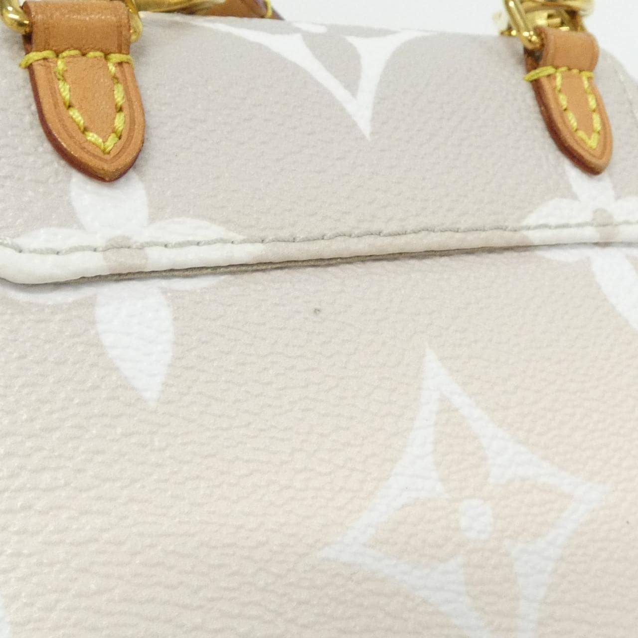 ルイヴィトン バイ ザプール タイニー バックパック M45764 リュックサック